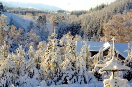 Отель Sunrise House Inverfarigaig Экстерьер фото